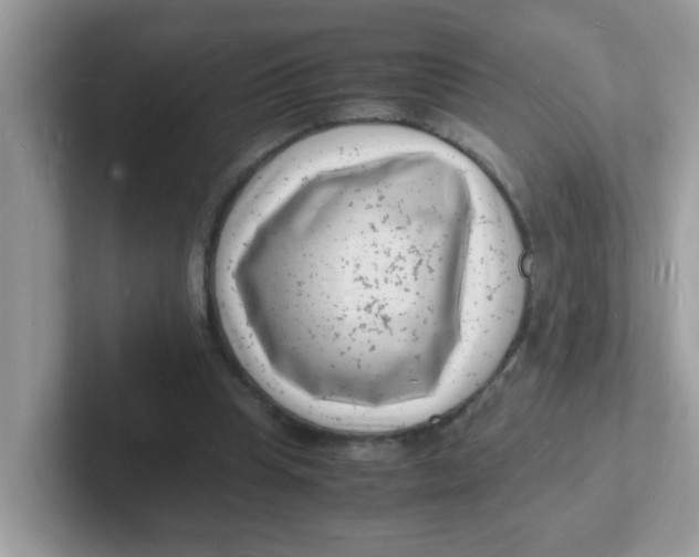 X0000101480345200807281044