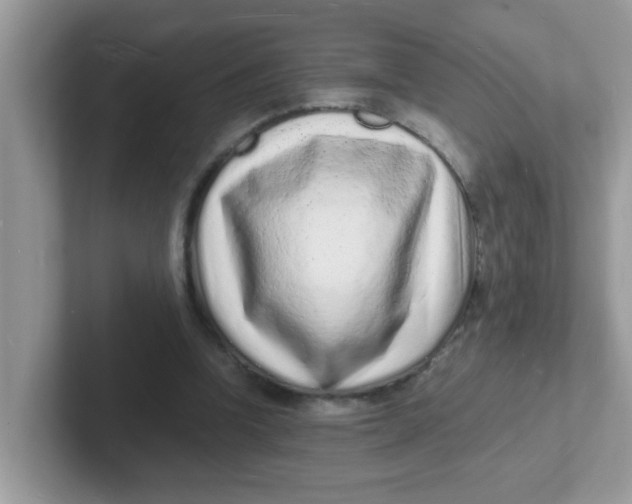 X0000101480346200807281044