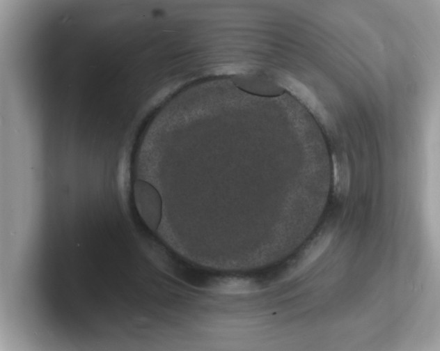 X0000101480348200807281044