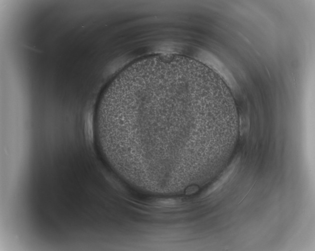 X0000101480349200807281044