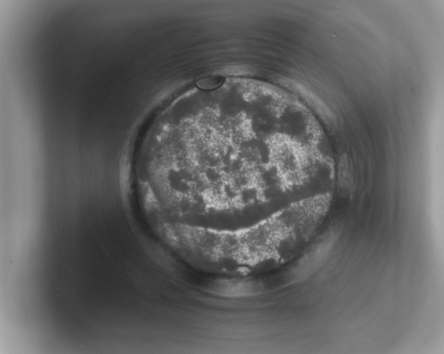 X0000101480351200807281044