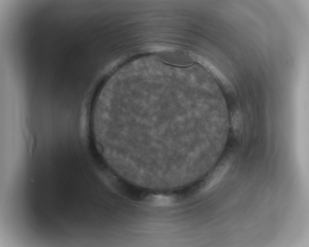 X0000101480352200807281044