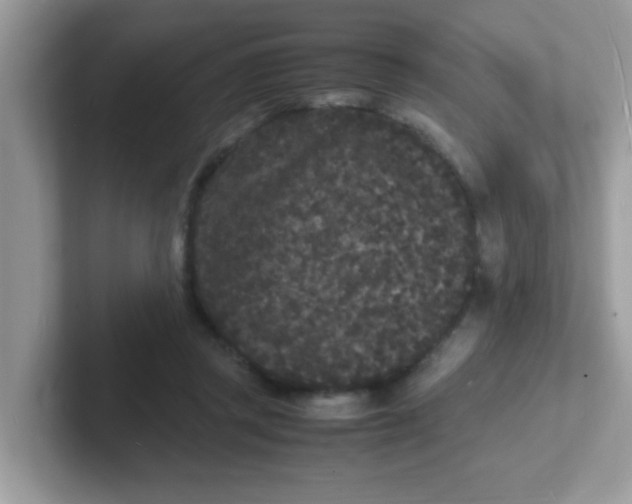 X0000101480357200807281044