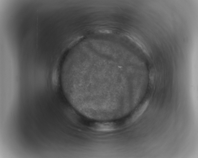 X0000101480359200807281044