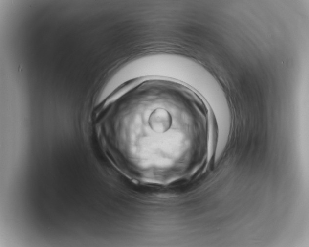 X0000101480360200807281044