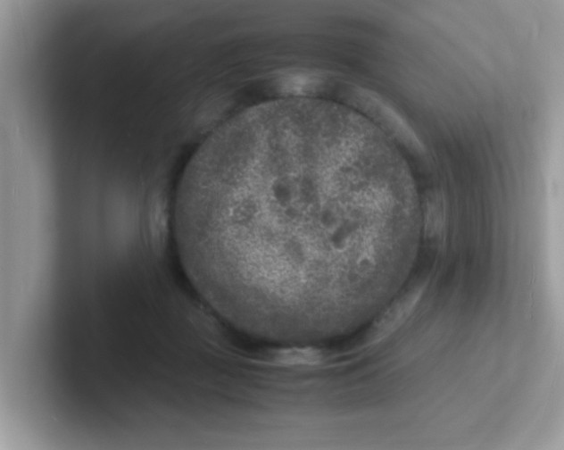 X0000101480363200807281044