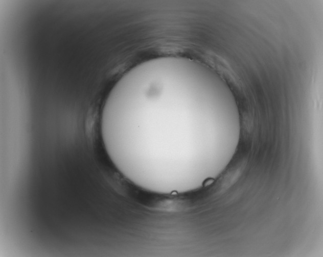 X0000101480364200807281044