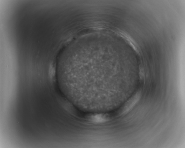 X0000101480365200807281044