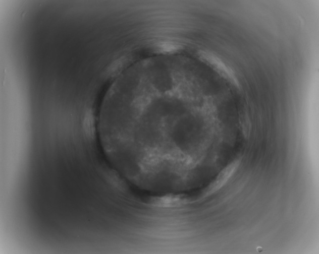 X0000101480366200807281044