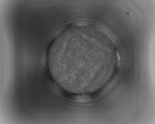 X0000101480367200807281044