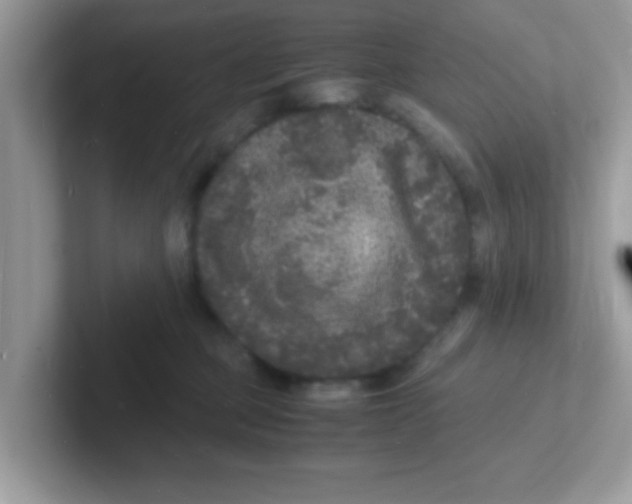 X0000101480373200807281044