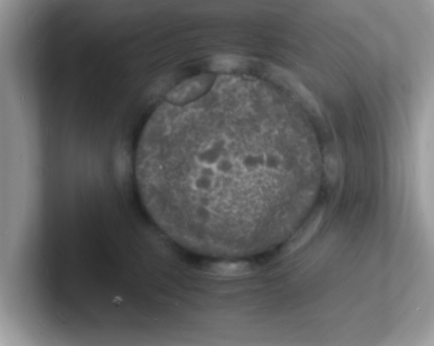 X0000101480375200807281044