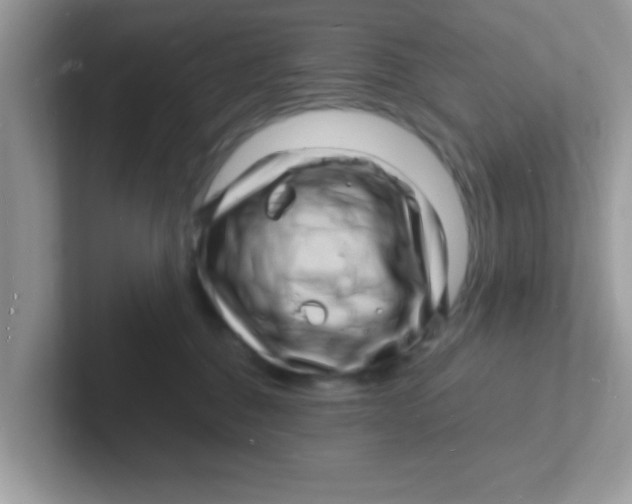 X0000101480376200807281044