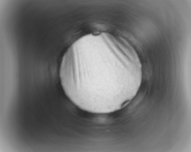 X0000101480377200807281044