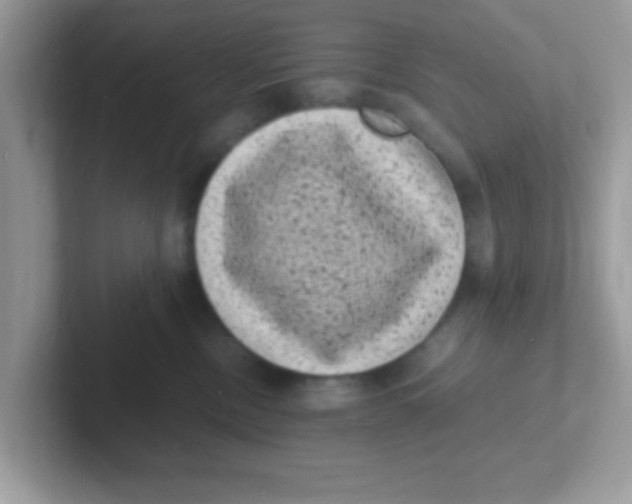 X0000101480378200807281044