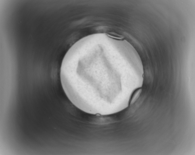 X0000101480379200807281044