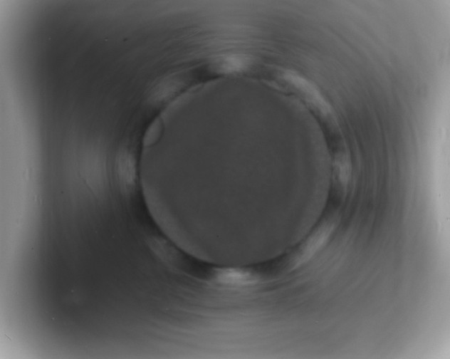 X0000101480380200807281044