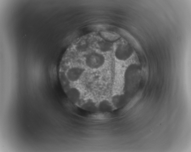 X0000101480381200807281044