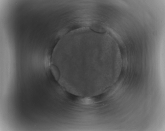 X0000101480383200807281044