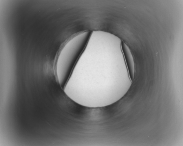 X0000101480384200807281044