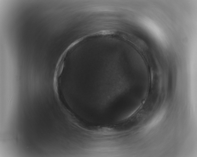 X0000101480387200807281044