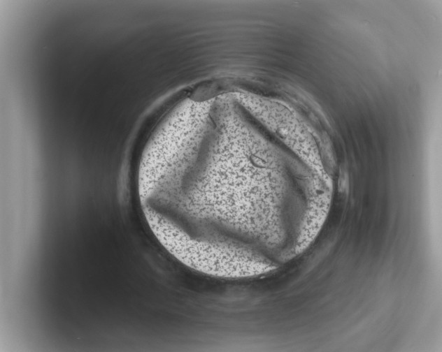 X0000101480388200807281044