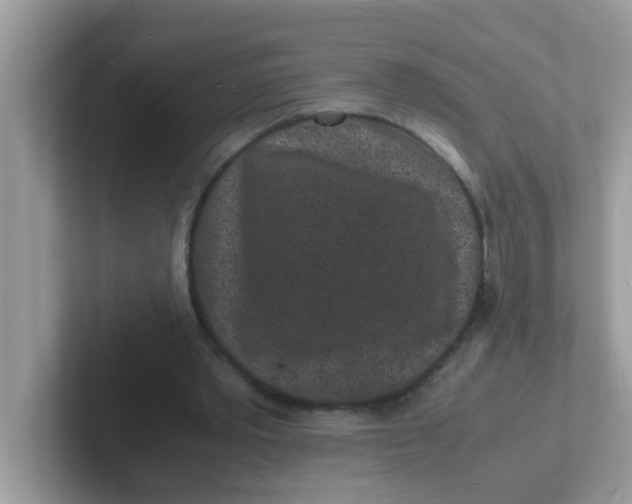 X0000101480389200807281044