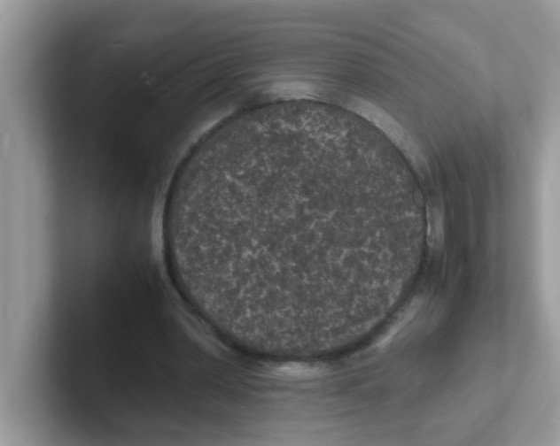 X0000101480390200807281044