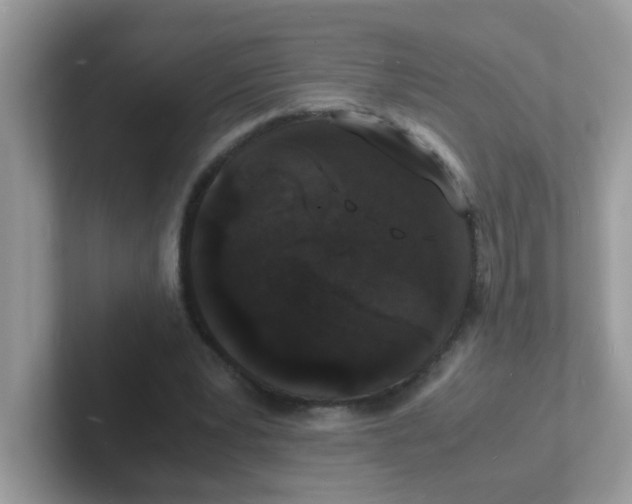 X0000101480391200807281044