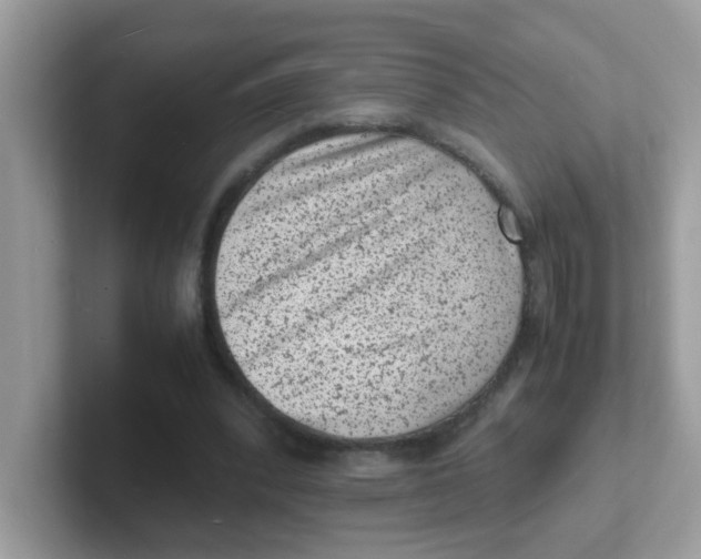 X0000101480392200807281044