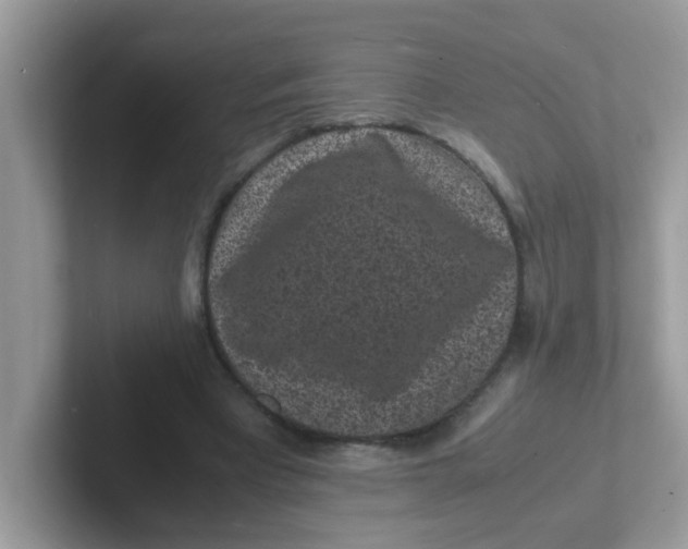 X0000101480393200807281044