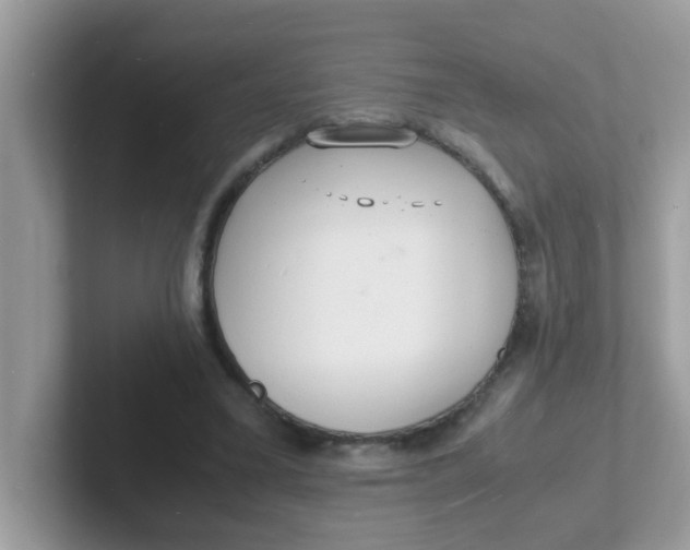 X0000101480395200807281044