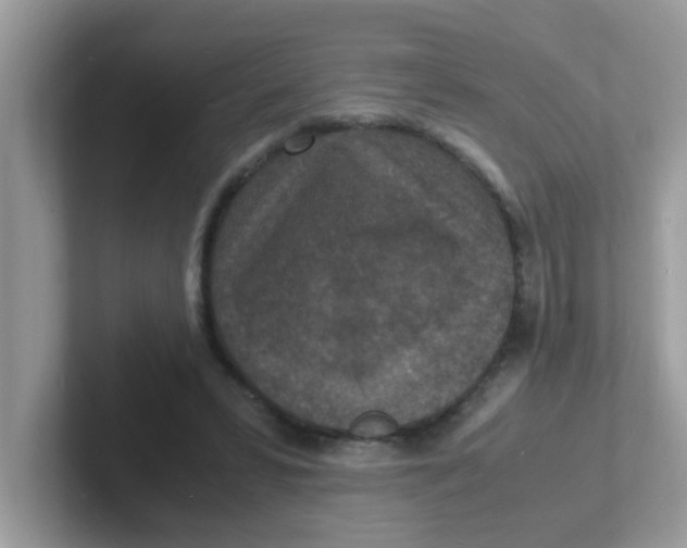 X0000101480399200807281043