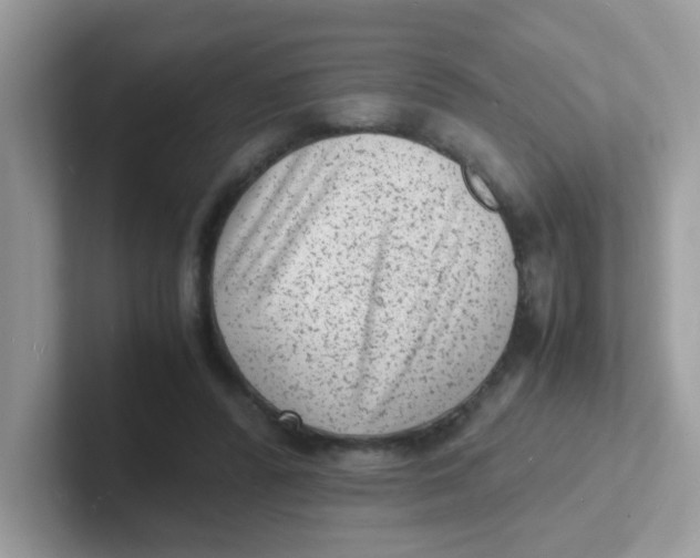 X0000101480400200807281043