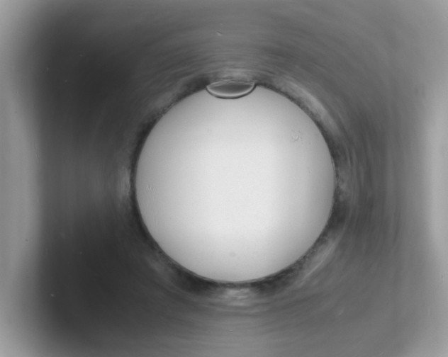 X0000101480401200807281043