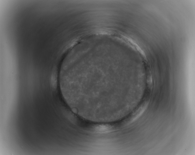 X0000101480402200807281043