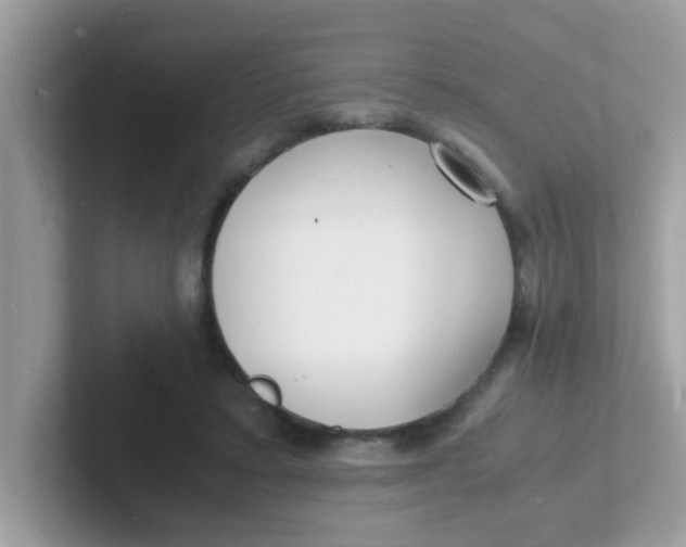 X0000101480403200807281043