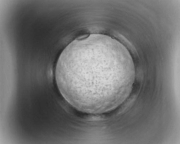 X0000101480405200807281043