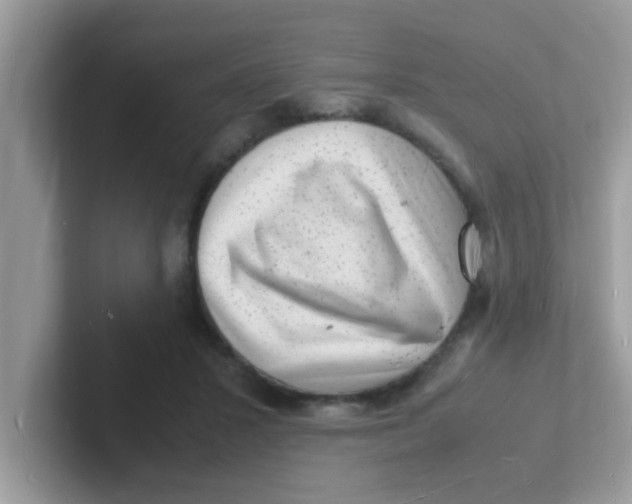 X0000101480407200807281043