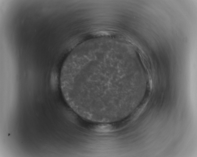 X0000101480410200807281043