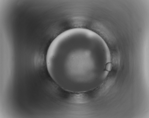 X0000101480411200807281043