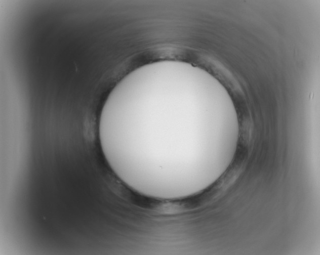 X0000101480413200807281043