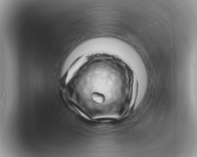 X0000101480415200807281043