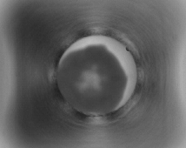 X0000101480419200807281043