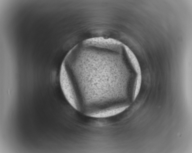 X0000101480420200807281043