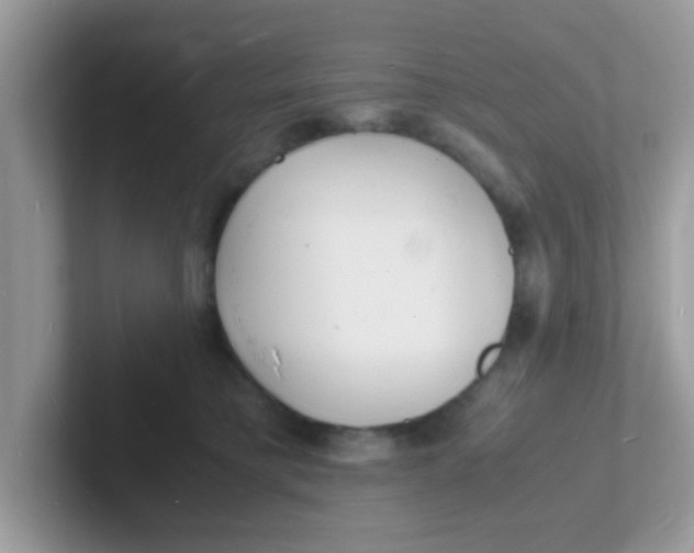 X0000101480421200807281043