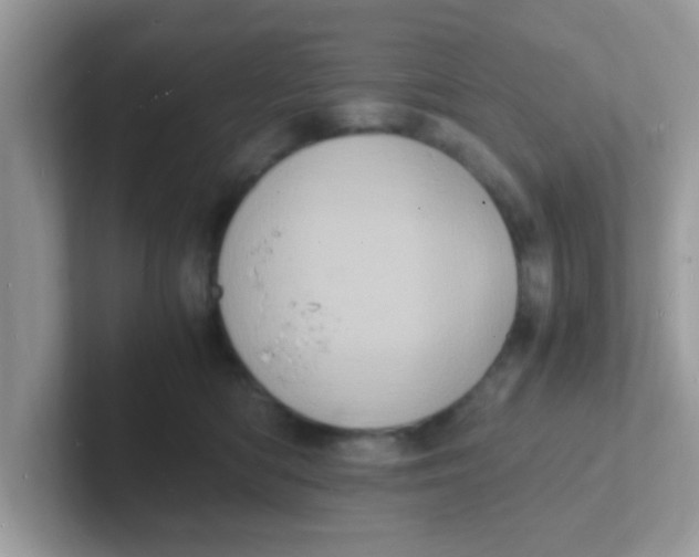 X0000101480422200807281043