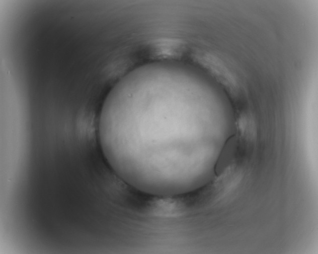 X0000101480423200807281043