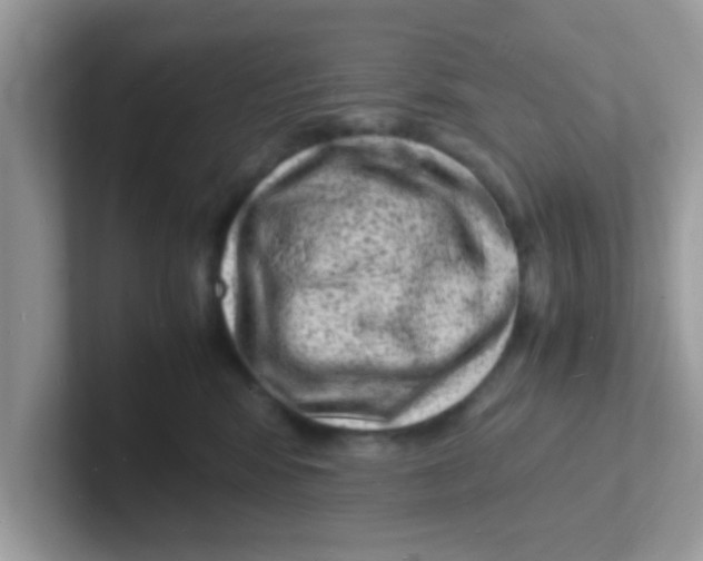 X0000101480424200807281043