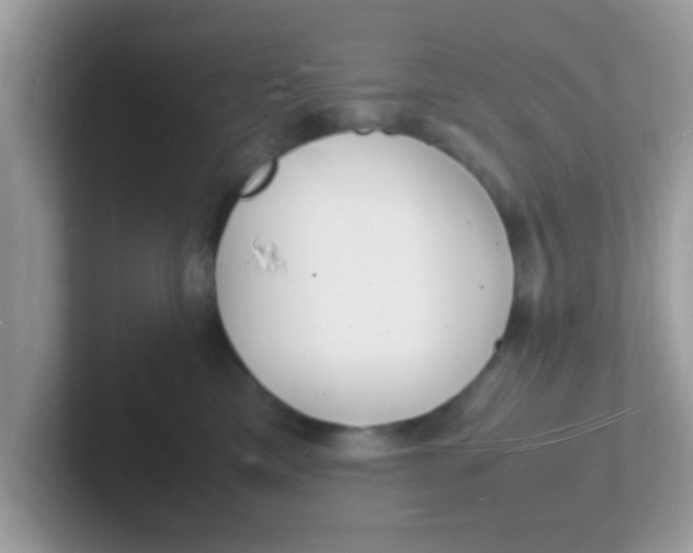 X0000101480425200807281043